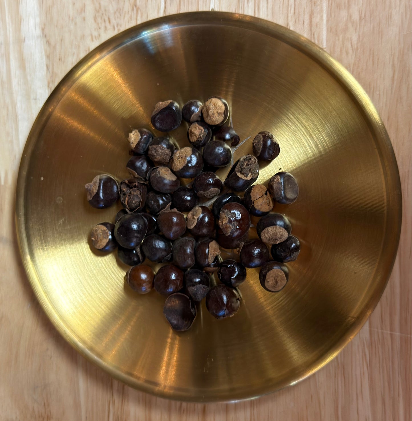 Guarana Seed