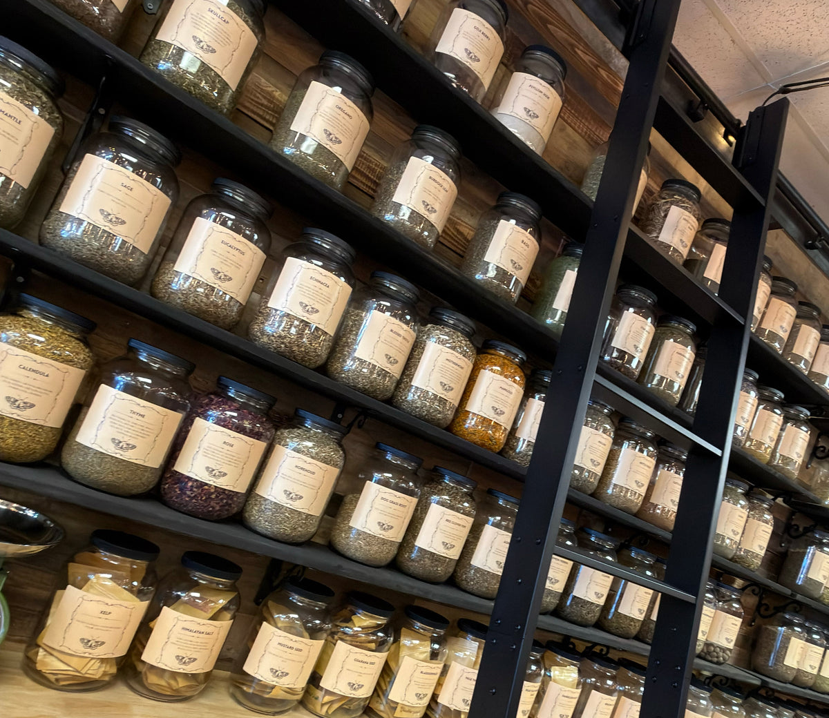 Apothocary