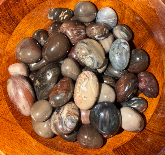 Wood Fossil Tumble