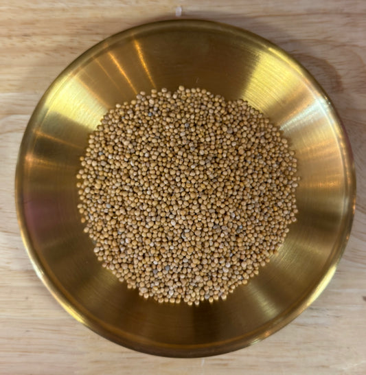 Mustard Seed (Yellow)