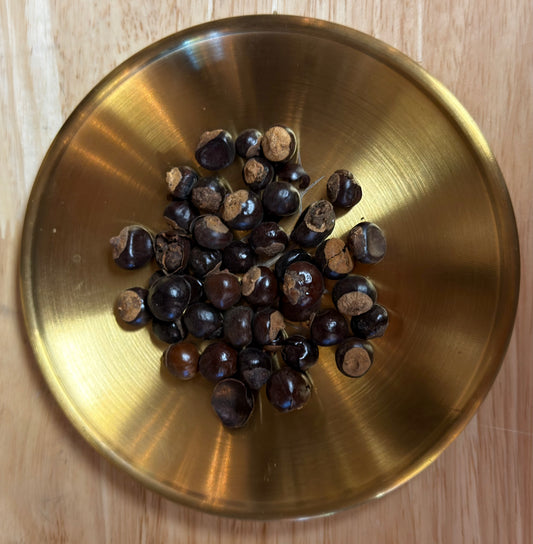 Guarana Seed