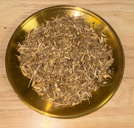 Dog Grass Root