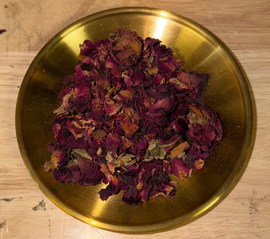 Red Rose Buds
